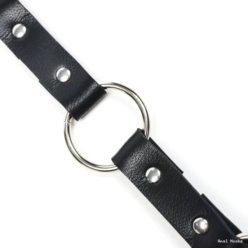Anal Hooks Leash Hook 5853 and EverydayUse Kinky with Anal Collar 0913